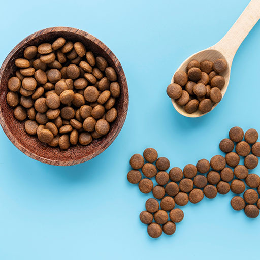 Σκυλοτροφές