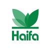 Haifa