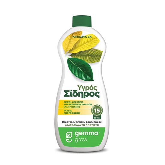Gemma Υγρός σίδηρος 300 ml